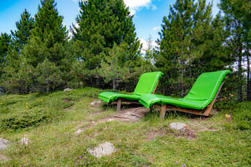 Zwei gemütliche Waldsofas