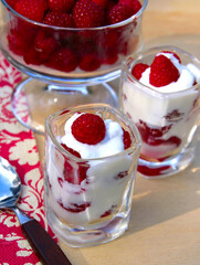 Himbeer Joghurt Dessert
