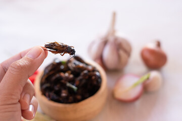 Hand holding fried crickets in wooden bow as edible insects on white background, high protein insect
