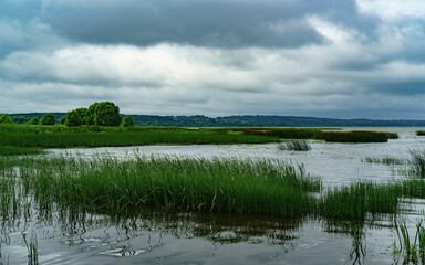 Summer landscape with a lake.