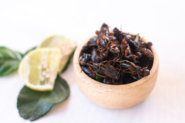 Fried crickets in wooden bow as edible insects on white background, high protein insect