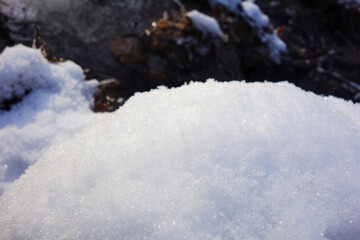 Snowy and frozen beautiful nature during a sunny day