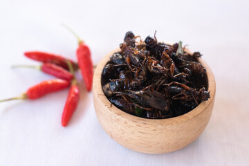 Fried crickets in wooden bow as edible insects on white background, high protein insect