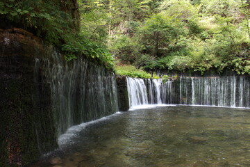 Fototapeta premium 白糸の滝 長野県北軽井沢。 川の水が流れ落ちるのでなく、湧水が岩からしみ出て何本もの糸のような滝となり、独特の景観となる。