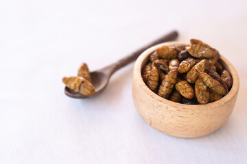 silkworm pupa in wooden spoon and wooden bow as edible insects on white background, high protein insect