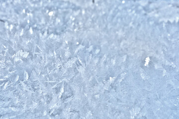 Beautiful snow crystals in the picturesque nature in the winter season