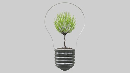 Light bulb with tree inside on white background. Green Energy Concept. 3D rendering.