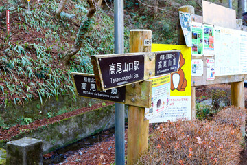 高尾山（東京）の風景