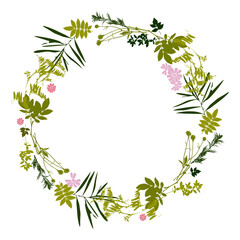 Fototapeta premium Flower Frame. Floral green wreaths. Forest herbs and flowers arranged in a wreath shape are ideal for wedding invitations and greeting cards. Meadow grasses.
