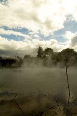 Geothermal lake with boiling mud pool in Wai-O-Tapu thermal wonderland, Rotorua, North Island of New Zealand. Rotorua area is well known for geothermal activity, geysers and hot mud pools