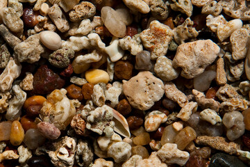 Colorful pebbles on a beach in Sri Lanka