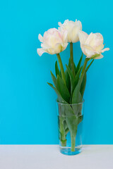 Vertical photo of bouquet with three white fragile tulip flowers in vase on white table