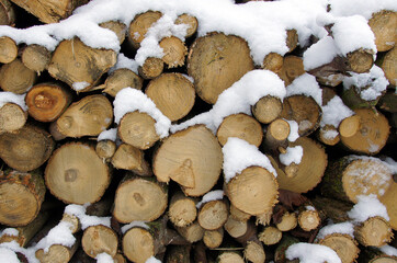 Stockpile of firewood with snow