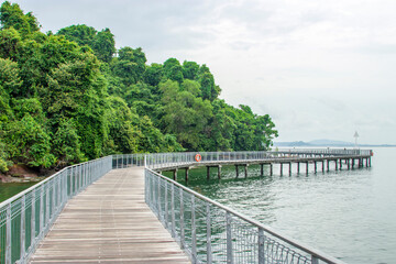 Fototapeta na wymiar the boardwalk, rock beach and red mangrove in Chek Jawa wetland. It is a cape and the name of its 100-hectare wetlands located on the south-eastern tip of Pulau Ubin island Singapore. 