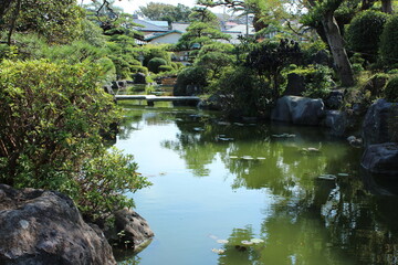 Fototapeta premium 日本庭園（龍華寺、静岡県） 静岡市清水区にある日蓮宗のお寺。庭園の大蘇鉄は国の天然記念物。