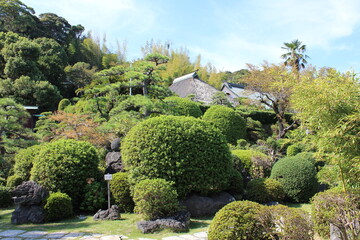 日本庭園（龍華寺、静岡県）　静岡市清水区にある日蓮宗のお寺。庭園の大蘇鉄は国の天然記念物。
