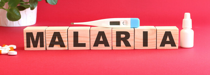 The word MALARIA is made of wooden cubes on a red background. Medical concept.