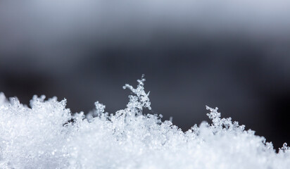 winter card, crystals of snow, winter photo