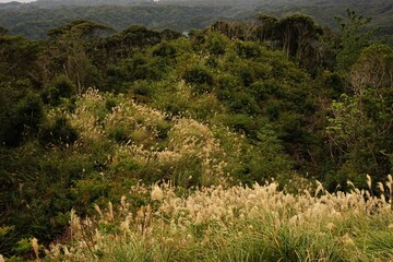 Hasetenbo Observatory Park in Tanegashima Island, Kagoshima Prefecture, Japan - 長谷展望公園 種子島 鹿児島県 日本