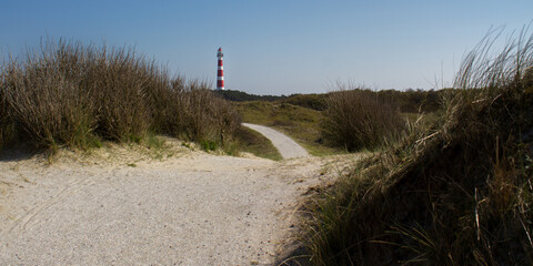 path leading through the dunes towards the historic lighthouse of hollum, ameland in the netherlands, vuurtoren