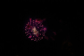 Fototapeta premium Celebration firework in the black night sky