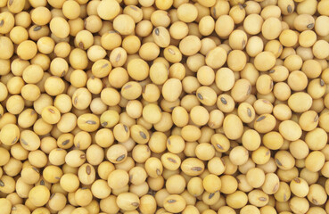 Soy beans as background or pattern