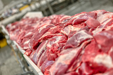 Fresh beef. Meat cut into large pieces