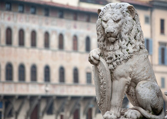 The Marzocco is the heraldic lion that is a symbol of Florence.