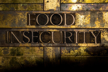 Food Insecurity text on vintage textured grunge copper and gold background
