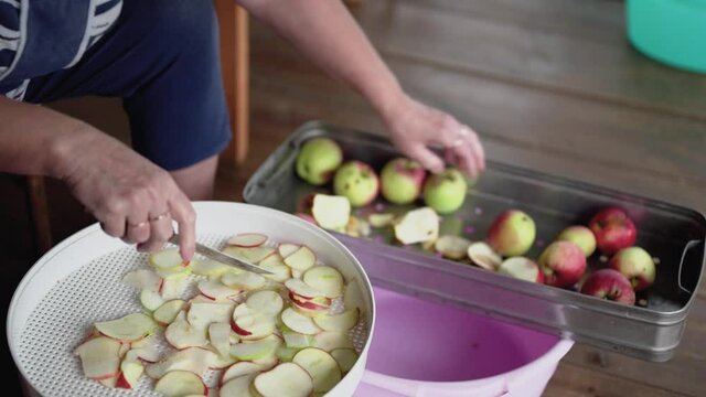An elderly woman cuts fresh apples with a knife.