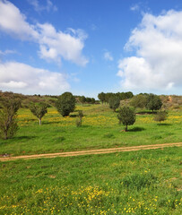 Fototapeta premium Magnificent clouds in the spring sky