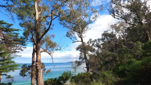 pristine wild landscape at Boronia Beach in Tasmania, Australia with lush vegetation and rocks on the shore  and clear blue water