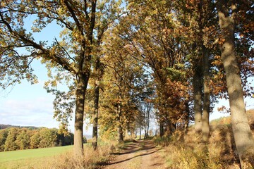 Naklejka premium Herbstzeit