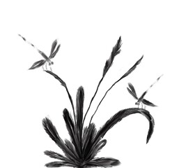 Dragonflies on the grass Illustration Black and white