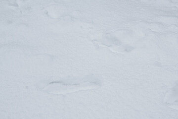 Footprint In white snow filed.
