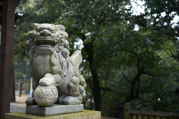 Fototapeta na wymiar 日本の神社にある狛犬の像。 狛犬は神社や時にはお寺の守護神です。