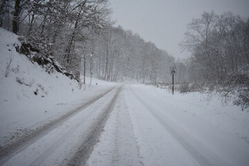 Fresh snow covered rural country road with trees and speed limit sign