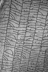 runic script
