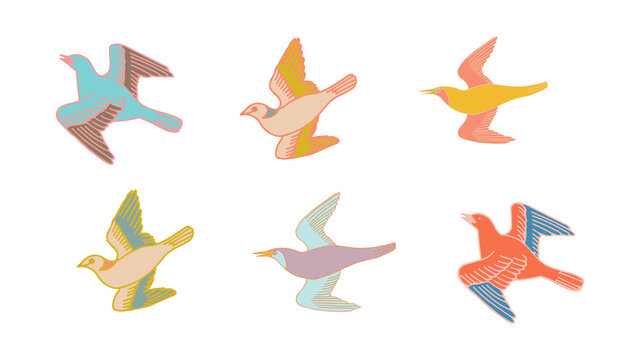 colorful vintage hand drawn birds set