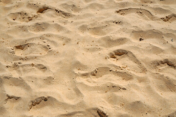 Closeup brown sand beach with texture background on the beach of thailand                              