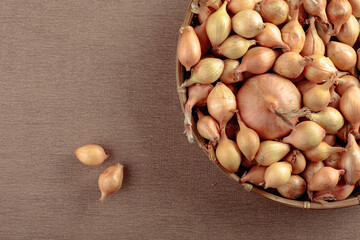 Onion on a table. Top view.