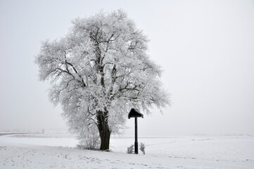 Baum mit Kreuz im Winter, Schnee, Trauer