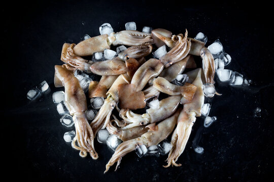 Fresh squid with ice on black background close-up