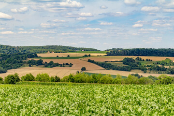 Obraz premium around Jagst Valley in Hohenlohe