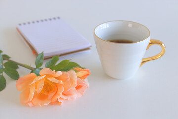 Morning coffee mug for breakfast, empty notebook, pencil and orange roses flowers on white table. Woman working desk. Blurred.