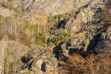 Forest with clorful leaves in Darband valley in autumn in the morning in the Tochal mountain. A popular recreational region for Tehran's residents
