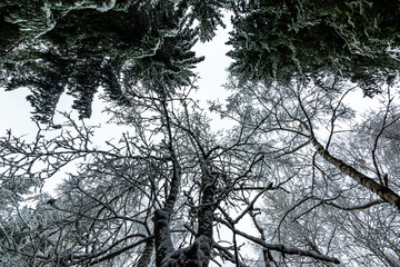 Winter Schnee Erzgebirge