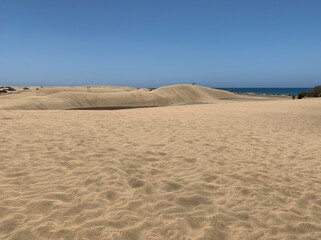Natural Reserve of Dunas de Maspalomas. Gran Canaria. Canary Islands. Spain