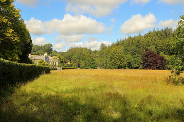 Golden wheat beneath the gaze of Restormel manor