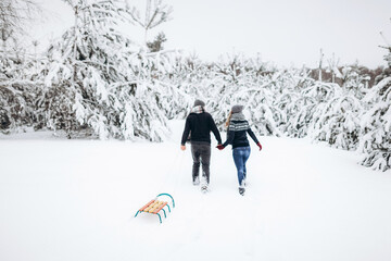 Couple walks holding hands in winter in a snowy forest with sledges, turning their backs and looking at each other